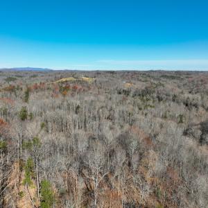 Photo #3 of SOLD property in Off Seven Island Road, Danbury, NC 27.6 acres