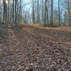 Photo #29 of SOLD property in Off Seven Island Road, Danbury, NC 27.6 acres