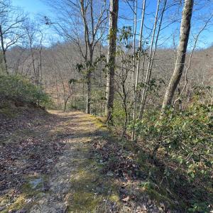 Photo #30 of SOLD property in Off Seven Island Road, Danbury, NC 27.6 acres