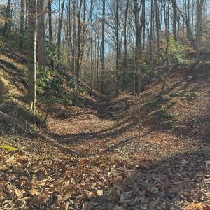 Photo #32 of SOLD property in Off Seven Island Road, Danbury, NC 27.6 acres