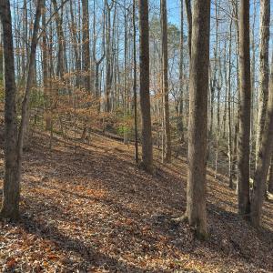 Photo #33 of SOLD property in Off Seven Island Road, Danbury, NC 27.6 acres