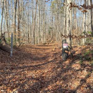 Photo #34 of SOLD property in Off Seven Island Road, Danbury, NC 27.6 acres