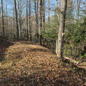 Photo #35 of SOLD property in Off Seven Island Road, Danbury, NC 27.6 acres