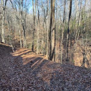 Photo #36 of SOLD property in Off Seven Island Road, Danbury, NC 27.6 acres