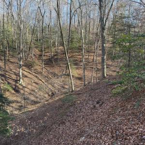 Photo #37 of SOLD property in Off Seven Island Road, Danbury, NC 27.6 acres