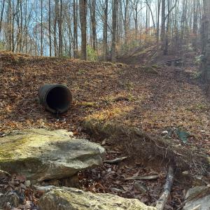 Photo #38 of SOLD property in Off Seven Island Road, Danbury, NC 27.6 acres