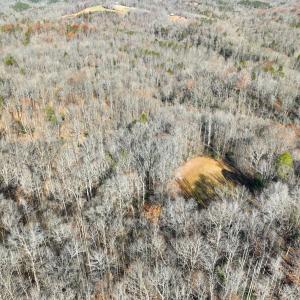 Photo #4 of SOLD property in Off Seven Island Road, Danbury, NC 27.6 acres