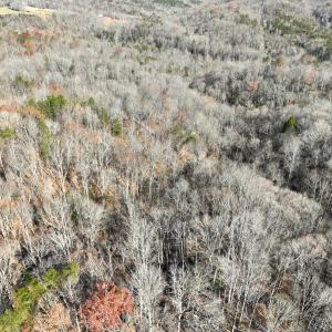 Photo #5 of SOLD property in Off Seven Island Road, Danbury, NC 27.6 acres