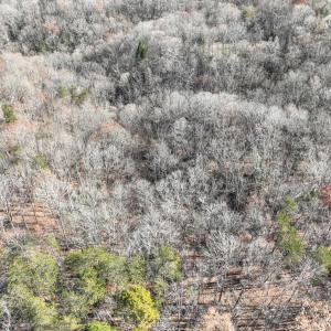 Photo #6 of SOLD property in Off Seven Island Road, Danbury, NC 27.6 acres