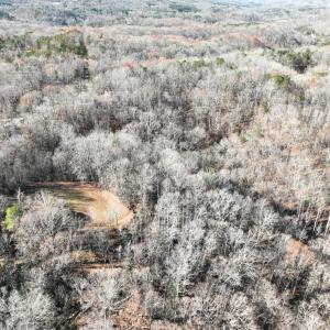 Photo #7 of SOLD property in Off Seven Island Road, Danbury, NC 27.6 acres