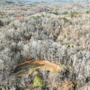 Photo #8 of SOLD property in Off Seven Island Road, Danbury, NC 27.6 acres