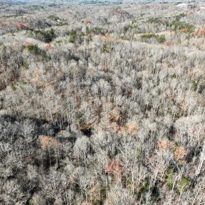Photo #9 of SOLD property in Off Seven Island Road, Danbury, NC 27.6 acres
