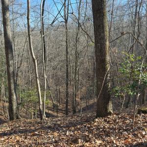 Photo #40 of SOLD property in Off Seven Island Road, Danbury, NC 27.6 acres