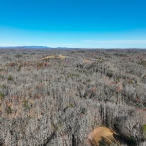 Photo #43 of SOLD property in Off Seven Island Road, Danbury, NC 27.6 acres