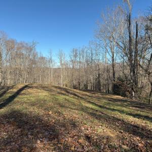 Photo #44 of SOLD property in Off Seven Island Road, Danbury, NC 27.6 acres
