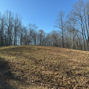 Photo #45 of SOLD property in Off Seven Island Road, Danbury, NC 27.6 acres