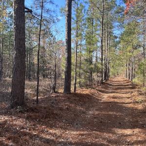 Photo #11 of SOLD property in Off North Forsythe Ln, Cameron, NC 6.0 acres