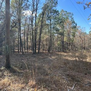 Photo #12 of SOLD property in Off North Forsythe Ln, Cameron, NC 6.0 acres