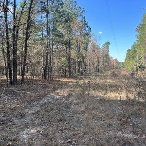 Photo #13 of SOLD property in Off North Forsythe Ln, Cameron, NC 6.0 acres