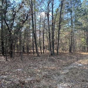 Photo #14 of SOLD property in Off North Forsythe Ln, Cameron, NC 6.0 acres