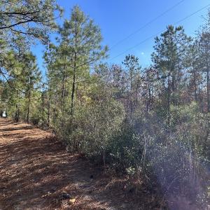 Photo #15 of SOLD property in Off North Forsythe Ln, Cameron, NC 6.0 acres