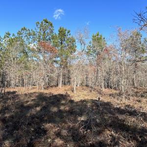 Photo #16 of SOLD property in Off North Forsythe Ln, Cameron, NC 6.0 acres