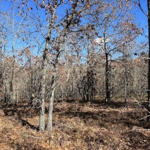 Photo #17 of SOLD property in Off North Forsythe Ln, Cameron, NC 6.0 acres