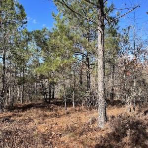 Photo #18 of SOLD property in Off North Forsythe Ln, Cameron, NC 6.0 acres