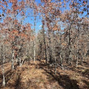 Photo #19 of SOLD property in Off North Forsythe Ln, Cameron, NC 6.0 acres