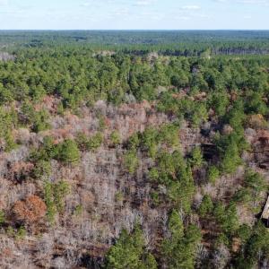 Photo #5 of SOLD property in Off North Forsythe Ln, Cameron, NC 6.0 acres