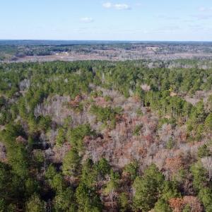 Photo #7 of SOLD property in Off North Forsythe Ln, Cameron, NC 6.0 acres