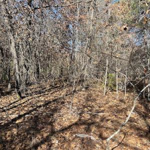 Photo #21 of SOLD property in Off North Forsythe Ln, Cameron, NC 6.0 acres