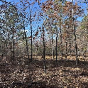 Photo #22 of SOLD property in Off North Forsythe Ln, Cameron, NC 6.0 acres