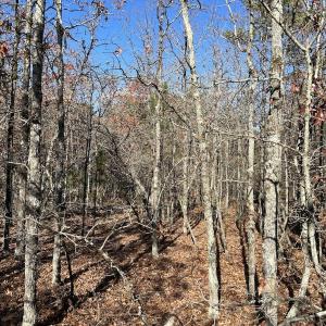 Photo #23 of SOLD property in Off North Forsythe Ln, Cameron, NC 6.0 acres