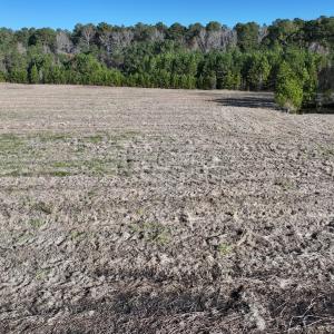 Photo #6 of SOLD property in 02 Smaw Road, Washington, NC 16.0 acres