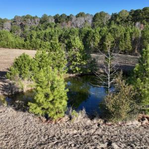Photo #7 of SOLD property in 02 Smaw Road, Washington, NC 16.0 acres