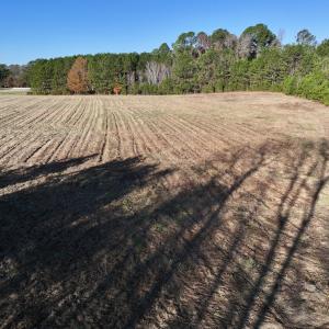 Photo #8 of SOLD property in 02 Smaw Road, Washington, NC 16.0 acres
