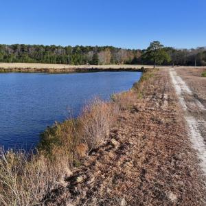 Photo #20 of SOLD property in 02 Smaw Road, Washington, NC 16.0 acres