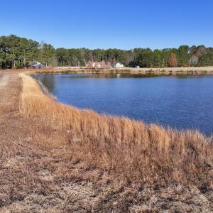 Photo #21 of SOLD property in 02 Smaw Road, Washington, NC 16.0 acres