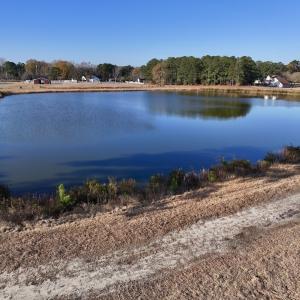 Photo #23 of SOLD property in 02 Smaw Road, Washington, NC 16.0 acres