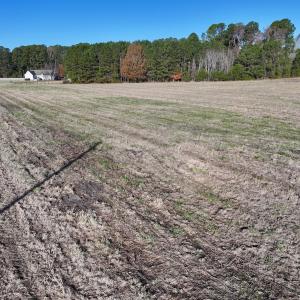 Photo #26 of SOLD property in 02 Smaw Road, Washington, NC 16.0 acres