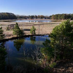 Photo #28 of SOLD property in 02 Smaw Road, Washington, NC 16.0 acres