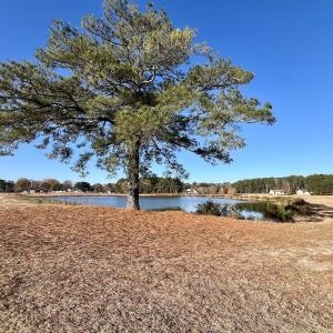 Photo #30 of SOLD property in 02 Smaw Road, Washington, NC 16.0 acres