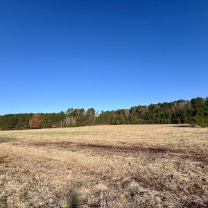 Photo #31 of SOLD property in 02 Smaw Road, Washington, NC 16.0 acres