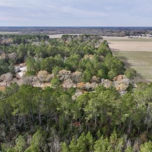 Photo #9 of Off Steeple Lake Road, La Grange, NC 1.4 acres