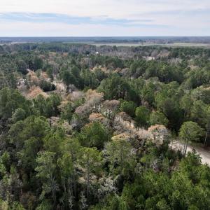 Photo #11 of Off Steeple Lake Road, La Grange, NC 1.4 acres