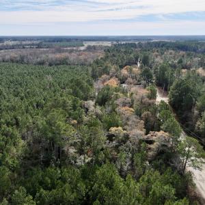 Photo #12 of Off Steeple Lake Road, La Grange, NC 1.4 acres
