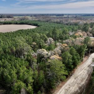 Photo #13 of Off Steeple Lake Road, La Grange, NC 1.4 acres