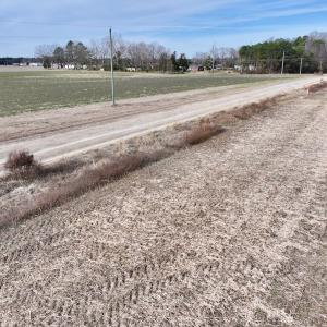 Photo #18 of Off Steeple Lake Road, La Grange, NC 1.4 acres