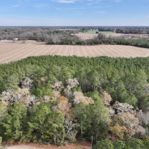 Photo #3 of Off Steeple Lake Road, La Grange, NC 1.4 acres